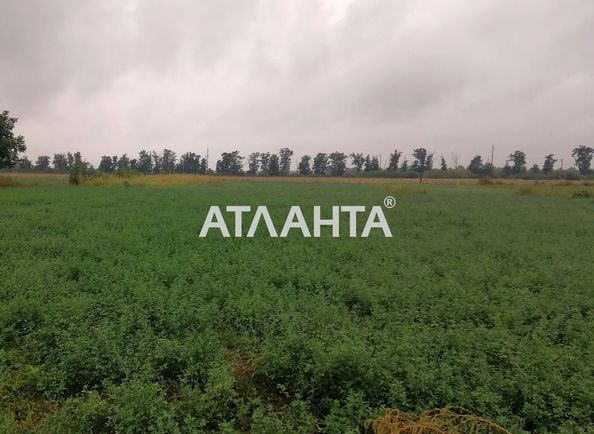 Landplot by the address st. Pokrovskaya (area 13,6 acr) - Atlanta.ua - photo 3