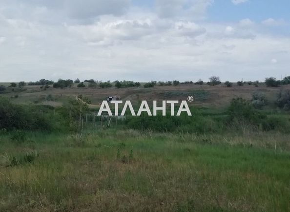 Landplot by the address st. Shevchenko (area 10 acr) - Atlanta.ua - photo 6