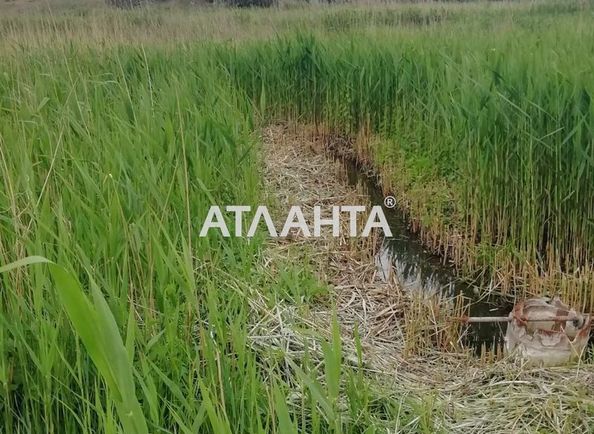 Landplot by the address st. Shevchenko (area 10 acr) - Atlanta.ua - photo 7