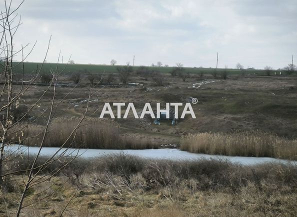 Landplot by the address st. Shevchenko (area 10 acr) - Atlanta.ua - photo 8