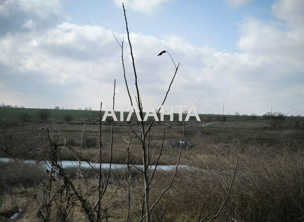 Landplot by the address st. Shevchenko (area 10 acr) - Atlanta.ua - photo 10
