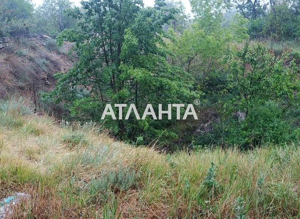 Landplot by the address st. Lenina (area 52,4 acr) - Atlanta.ua - photo 5