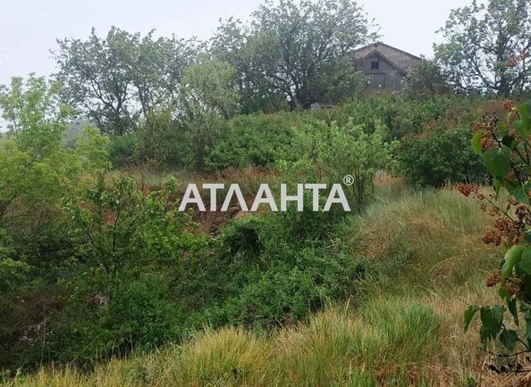 Landplot by the address st. Lenina (area 52,4 acr) - Atlanta.ua - photo 6