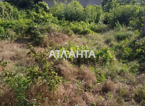 Landplot by the address st. Kostandi (area 24 acr) - Atlanta.ua - photo 6