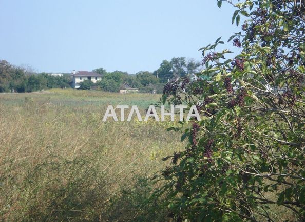 Landplot by the address st. Vinogradnaya (area 6,0 сот) - Atlanta.ua