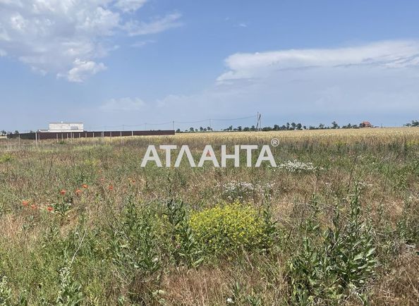 Landplot by the address st. Zamkovaya (area 24 acr) - Atlanta.ua - photo 2