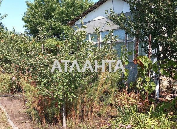 Dacha house and dacha (area 30,0 m2) - Atlanta.ua - photo 6