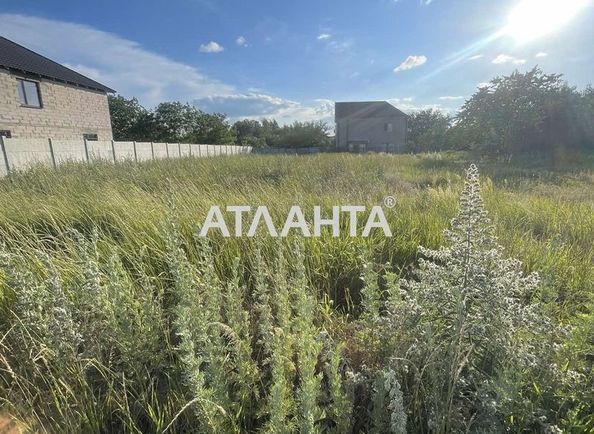 Landplot by the address st. Dachnaya (area 8,7 acr) - Atlanta.ua - photo 9