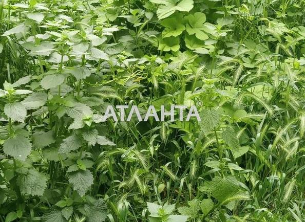 Ділянка за адресою вул. Масив №21 (площа 6 сот) - Atlanta.ua