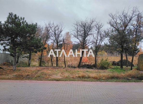 Landplot by the address st. Sosnovaya (area 3,2 acr) - Atlanta.ua - photo 2
