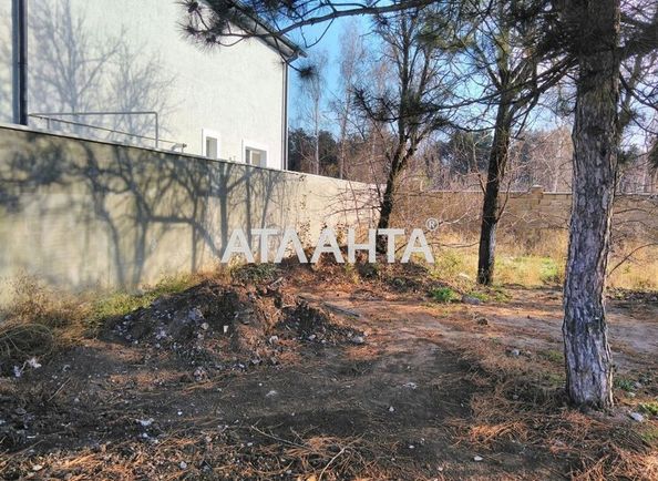 Landplot by the address st. Sosnovaya (area 3,2 acr) - Atlanta.ua - photo 4