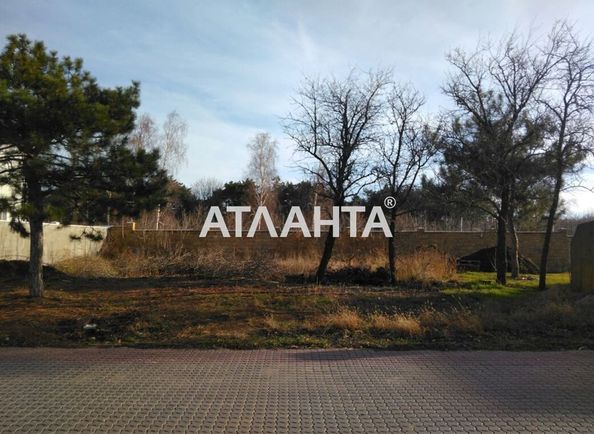 Landplot by the address st. Sosnovaya (area 3,2 acr) - Atlanta.ua - photo 5