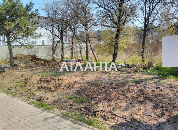Landplot by the address st. Sosnovaya (area 3,2 acr) - Atlanta.ua - photo 6