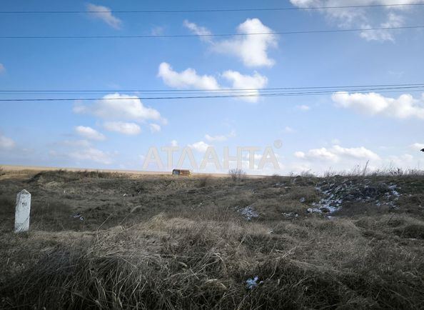 Landplot by the address st. Shevchenko (area 19,7 acr) - Atlanta.ua - photo 5