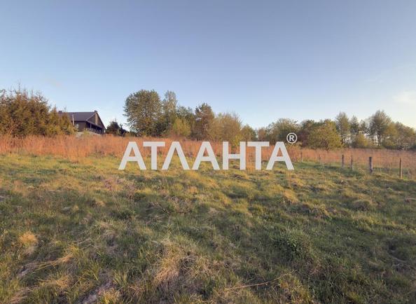 Участок по адресу ул. Центральная (площадь 25 сот) - Atlanta.ua