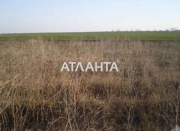 Landplot by the address st. Agronomicheskaya (area 8 acr) - Atlanta.ua - photo 2