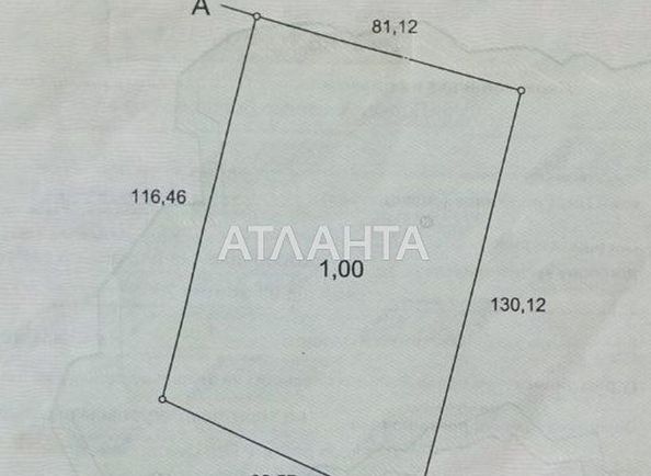 Landplot by the address (area 100,0 сот) - Atlanta.ua - photo 3
