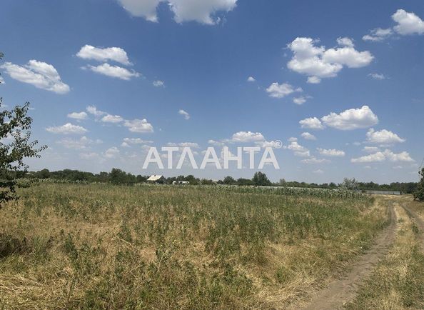 Landplot by the address (area 6 acr) - Atlanta.ua - photo 4