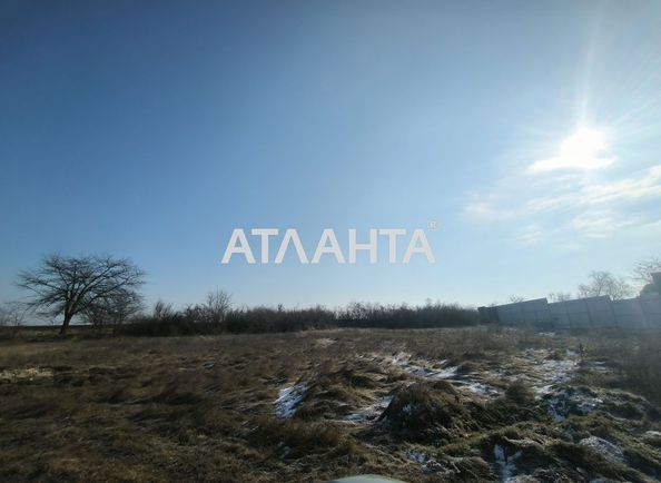 Landplot by the address st. Avangardnaya (area 25 acr) - Atlanta.ua - photo 6