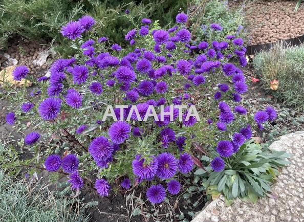 Dacha by the address st. Yanvarskaya 2 ya (area 125 m²) - Atlanta.ua - photo 3