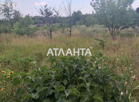 Landplot by the address st. Biryuzovaya (area 6,0 сот) - Atlanta.ua - photo 4