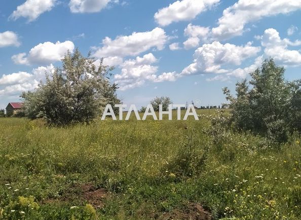 Landplot by the address st. Vinogradnaya (area 8 acr) - Atlanta.ua