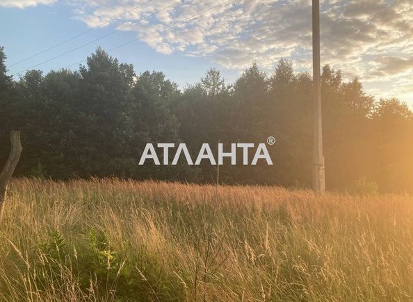 Landplot by the address (area 29,8 acr) - Atlanta.ua - photo 5