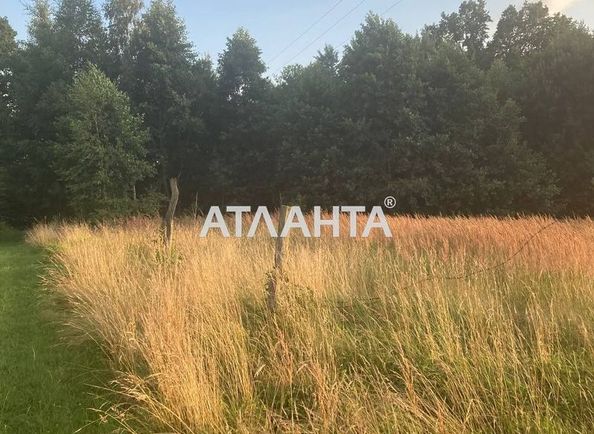 Landplot by the address (area 29,8 acr) - Atlanta.ua - photo 6