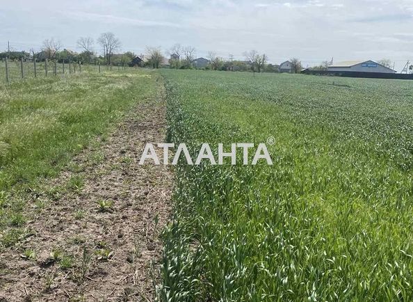 Landplot by the address st. Aleksandriyskaya (area 10 acr) - Atlanta.ua - photo 3