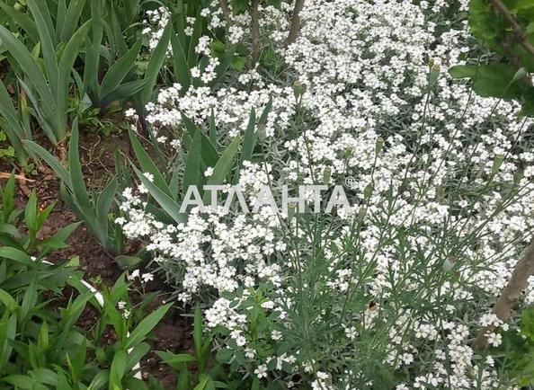 Landplot by the address st. Stroiteley (area 10 acr) - Atlanta.ua - photo 4