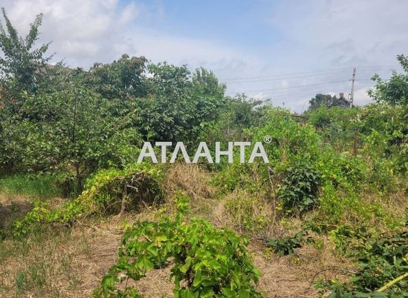 Landplot by the address st. Pesochnaya (area 13,2 acr) - Atlanta.ua