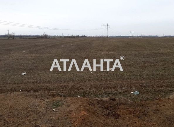 Landplot by the address st. Agronomicheskaya (area 4,2 acr) - Atlanta.ua - photo 5