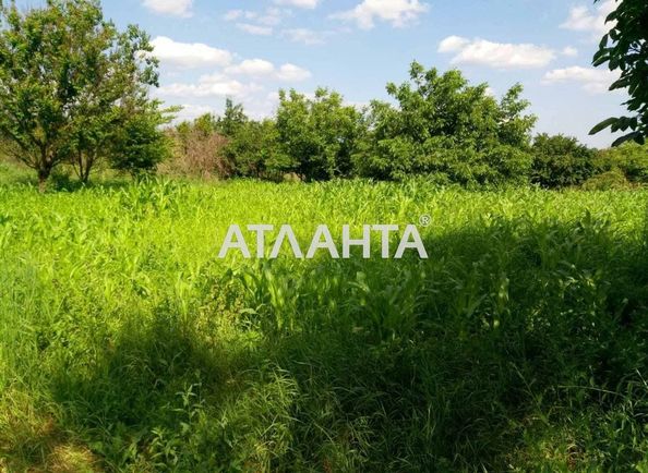 Landplot by the address st. Polevaya (area 42,0 сот) - Atlanta.ua - photo 4