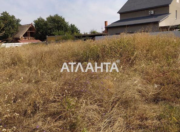 Landplot by the address (area 8 acr) - Atlanta.ua - photo 4