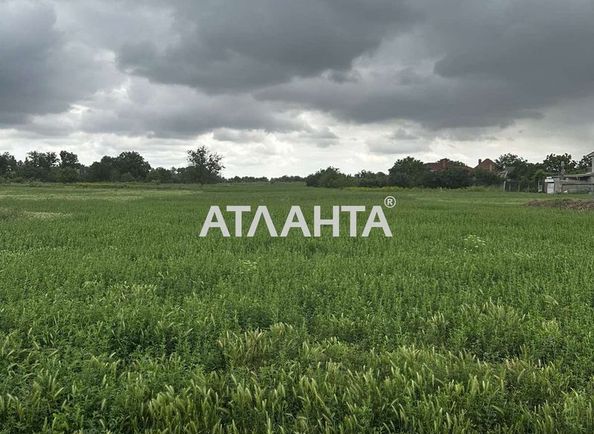 Landplot by the address st. Aleksandriyskaya (area 20 acr) - Atlanta.ua - photo 5