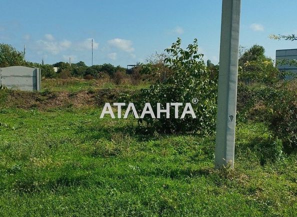 Landplot by the address st. Massiv 11 (area 4 acr) - Atlanta.ua - photo 3