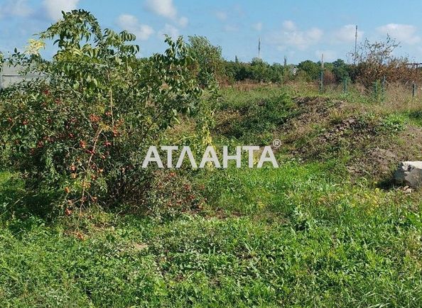 Landplot by the address st. Massiv 11 (area 4 acr) - Atlanta.ua - photo 4