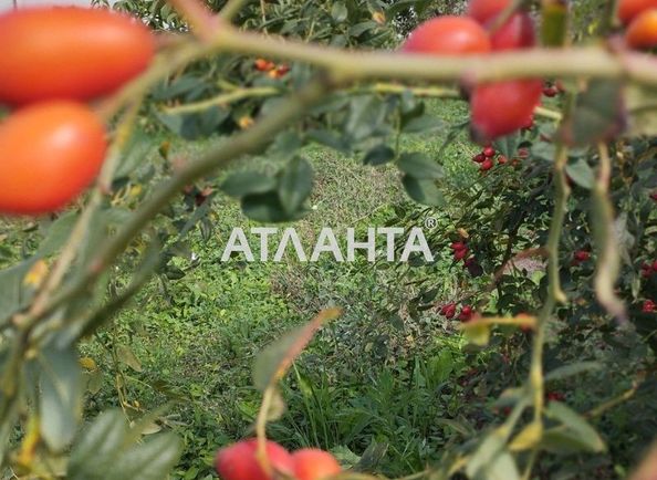 Landplot by the address st. Massiv 11 (area 4 acr) - Atlanta.ua - photo 5