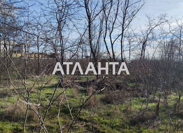 Landplot by the address st. Zelenaya (area 5,0 сот) - Atlanta.ua - photo 13