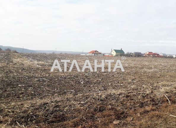 Landplot by the address st. Tsvetochnaya (area 25,0 acr) - Atlanta.ua - photo 2