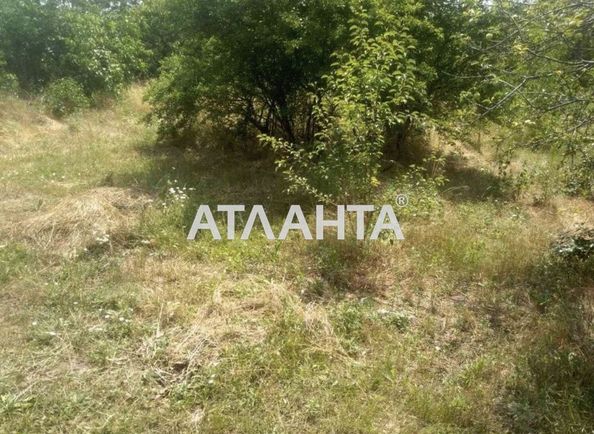 Landplot by the address (area 11,7 acr) - Atlanta.ua - photo 4