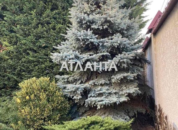 House by the address st. Elochnyy per (area 350,0 m2) - Atlanta.ua - photo 20