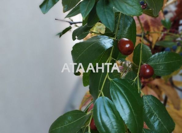 House by the address st. Orekhovaya (area 140 m²) - Atlanta.ua - photo 7
