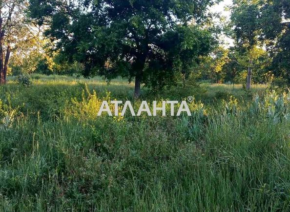 Landplot by the address st. Uyutnaya (area 4,0 сот) - Atlanta.ua - photo 2