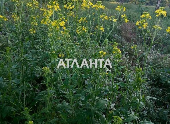 Landplot by the address st. Uyutnaya (area 4,0 сот) - Atlanta.ua - photo 5