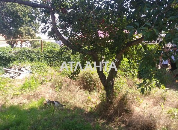 Landplot by the address st. Almaznaya (area 6,0 acr) - Atlanta.ua - photo 3