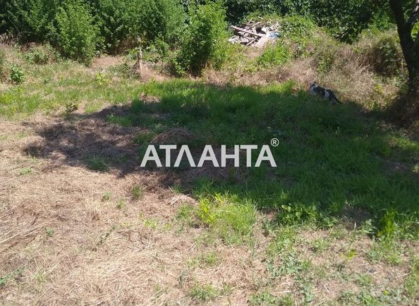 Landplot by the address st. Almaznaya (area 6,0 acr) - Atlanta.ua - photo 6