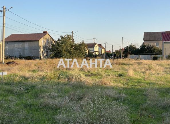 Landplot by the address st. Klenovaya Kotovskogo (area 10 acr) - Atlanta.ua - photo 5