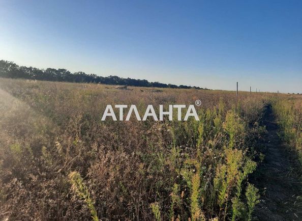 Landplot by the address st. Vesennyaya (area 7,7 сот) - Atlanta.ua - photo 2