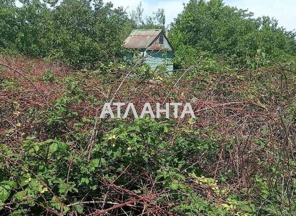 Landplot by the address st. 1 ya liniya (area 6,0 сот) - Atlanta.ua - photo 2